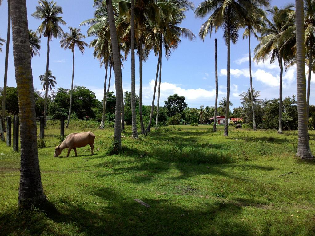 The Village Langkawi Pantai Cenang  Zewnętrze zdjęcie