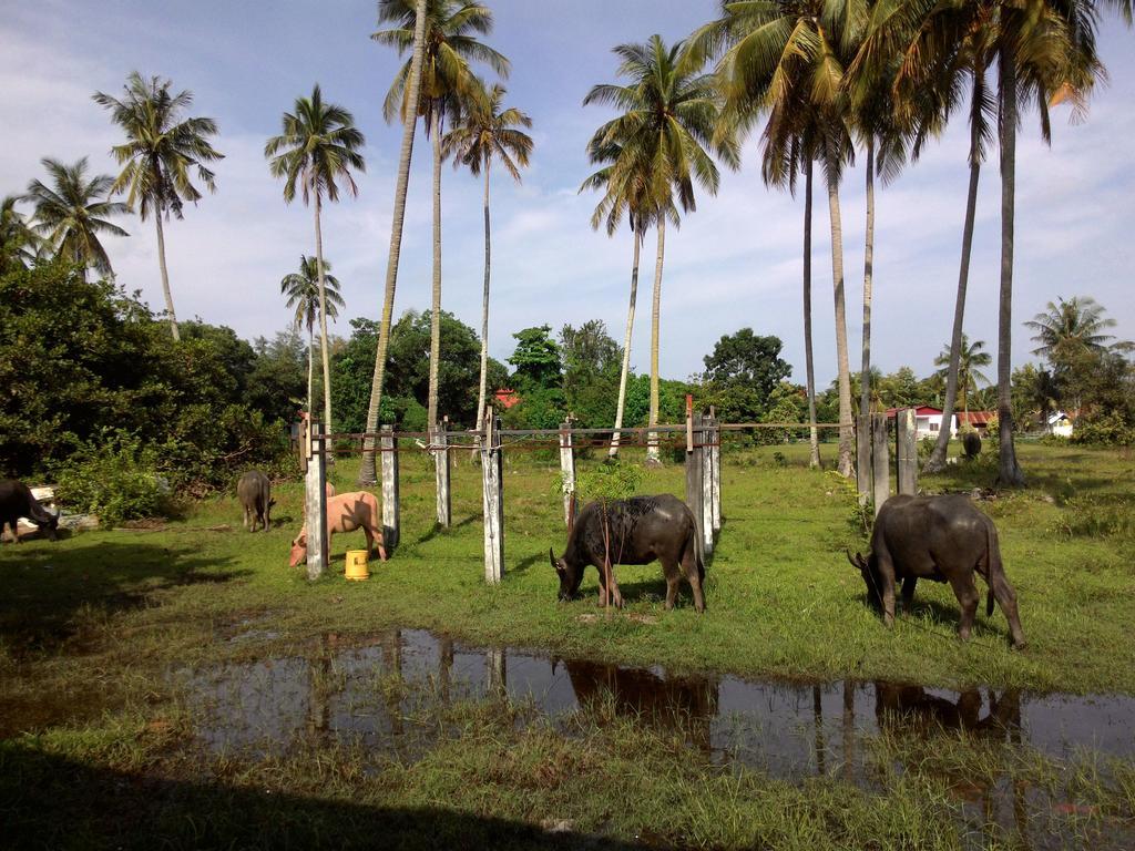 The Village Langkawi Pantai Cenang  Zewnętrze zdjęcie