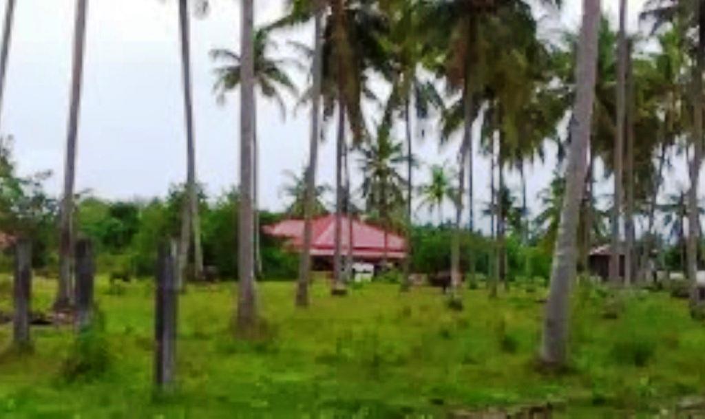The Village Langkawi Pantai Cenang  Zewnętrze zdjęcie