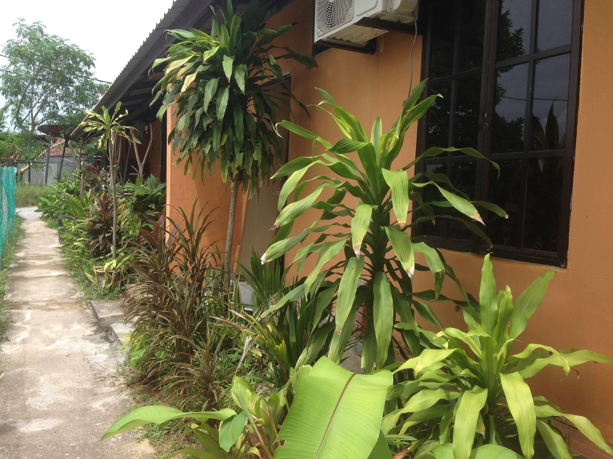 The Village Langkawi Pantai Cenang  Zewnętrze zdjęcie
